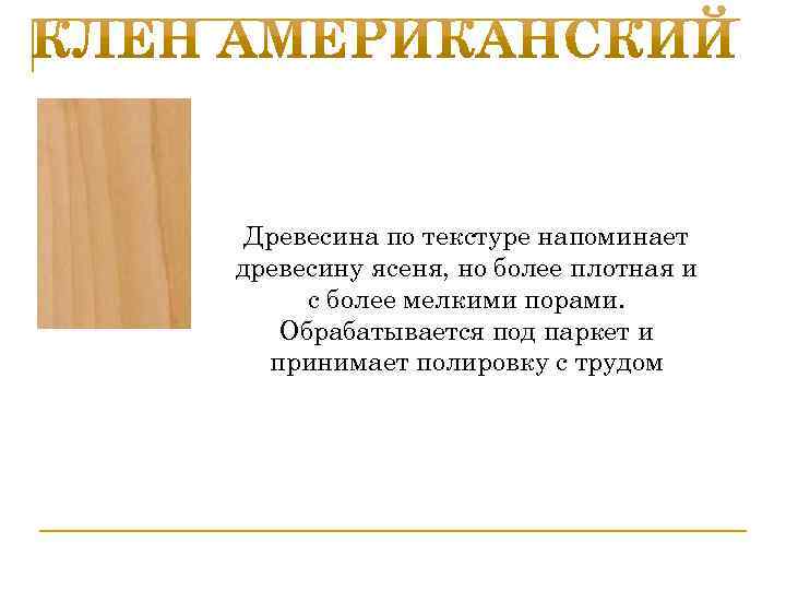 Более плотный. Древесина презентация. Защита древесины презентация. Ясень древесина характеристики. Американский клен древесина.