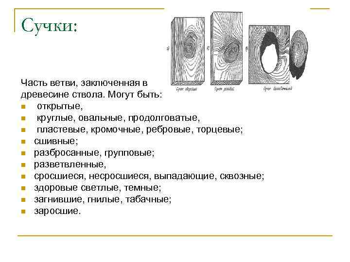 Сучки: Часть ветви, заключенная в древесине ствола. Могут быть: n открытые, n круглые, овальные,