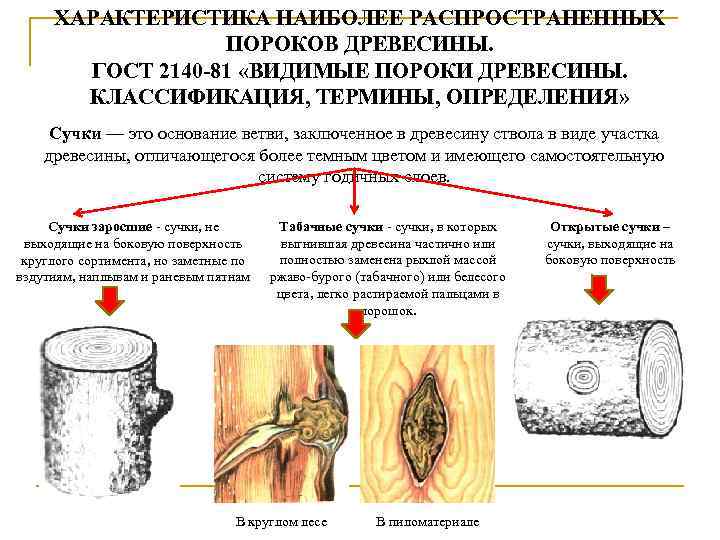 ХАРАКТЕРИСТИКА НАИБОЛЕЕ РАСПРОСТРАНЕННЫХ ПОРОКОВ ДРЕВЕСИНЫ. ГОСТ 2140 -81 «ВИДИМЫЕ ПОРОКИ ДРЕВЕСИНЫ. КЛАССИФИКАЦИЯ, ТЕРМИНЫ, ОПРЕДЕЛЕНИЯ»