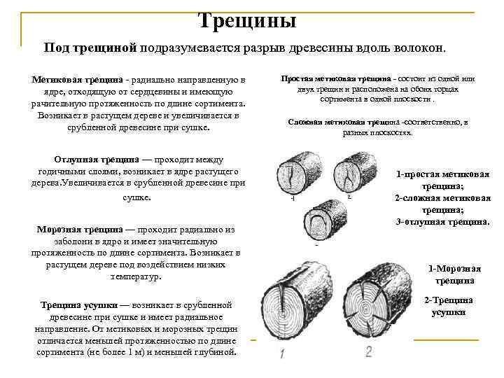 Трещины Под трещиной подразумевается разрыв древесины вдоль волокон. Метиковая трещина - радиально направленную в