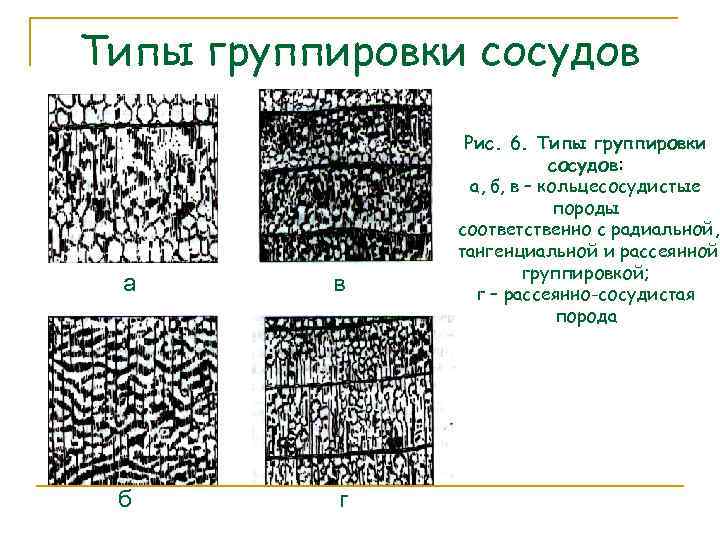 Типы группировки сосудов а в б г Рис. 6. Типы группировки сосудов: а, б,