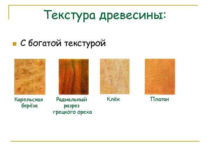 Текстура древесины: n С богатой текстурой Карельская берёза Радиальный разрез грецкого ореха Клён Платан