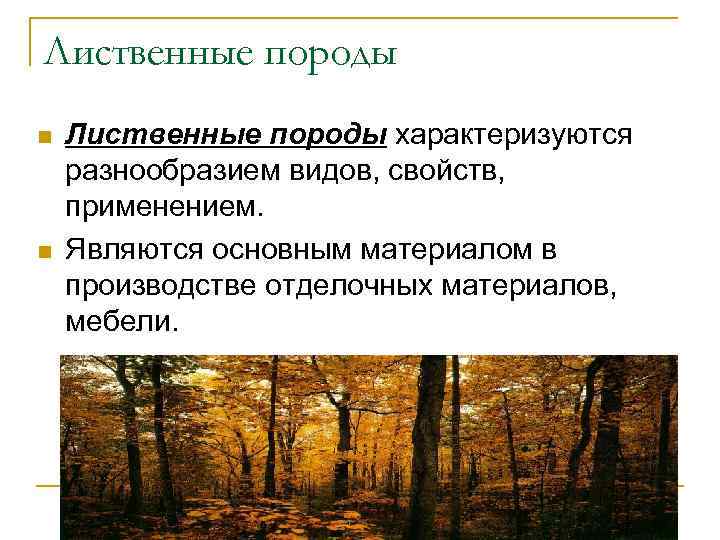Лиственные породы n n Лиственные породы характеризуются разнообразием видов, свойств, применением. Являются основным материалом