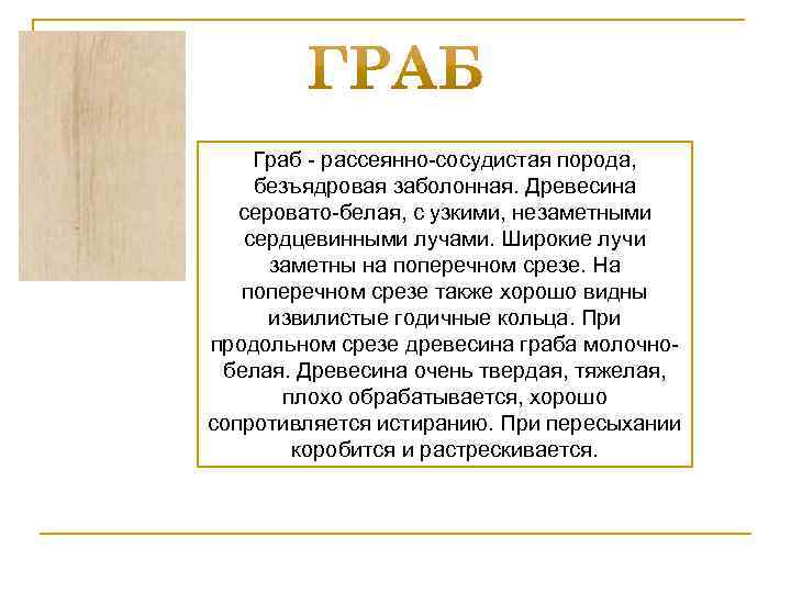 Граб - рассеянно-сосудистая порода, безъядровая заболонная. Древесина серовато-белая, с узкими, незаметными сердцевинными лучами. Широкие
