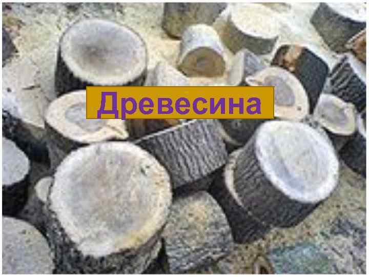 Древесина 