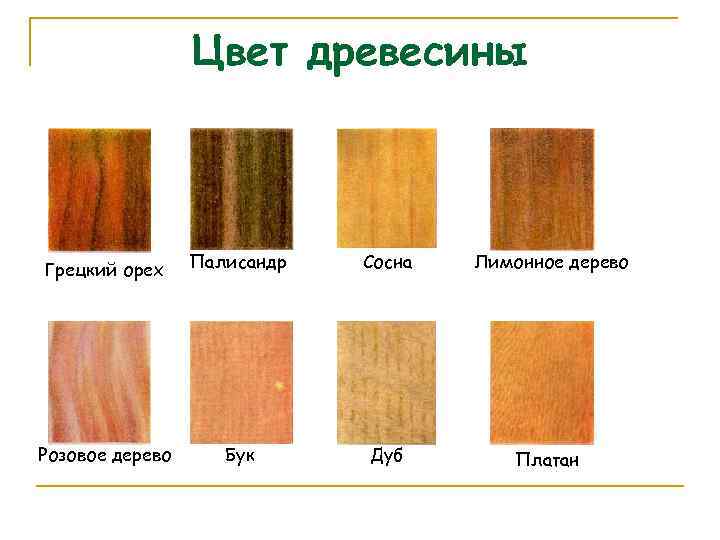 Цвет древесины Грецкий орех Палисандр Сосна Лимонное дерево Розовое дерево Бук Дуб Платан 