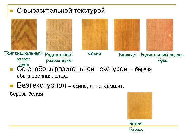 n С выразительной текстурой Тангенциальный Радиальный Сосна Карагач Радиальный разрез бука разрез дуба n