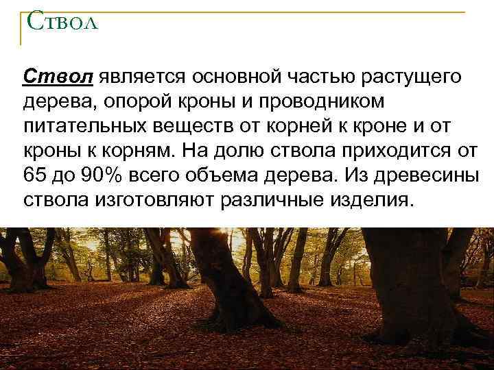 Ствол является основной частью растущего дерева, опорой кроны и проводником питательных веществ от корней