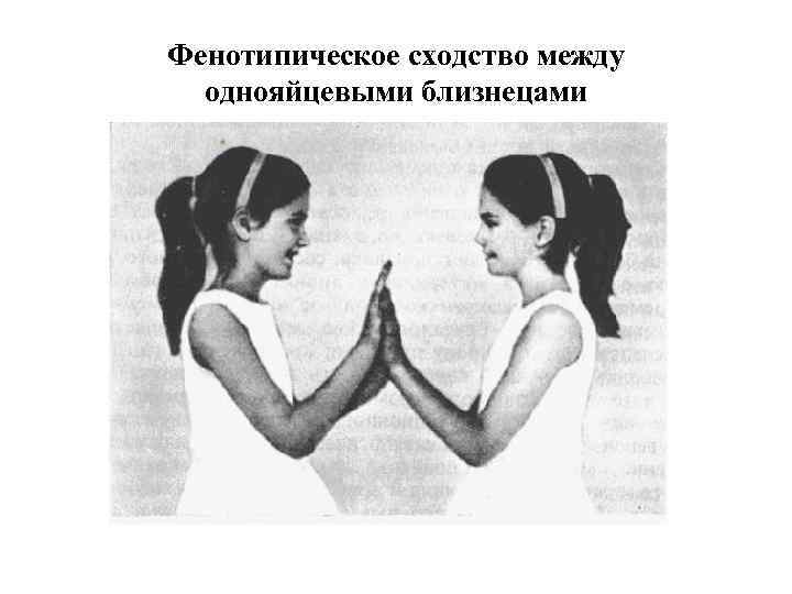 • Процент сходства близнецов по изучаемому признаку называется • Процент сходства близнецов по изучаемому признаку называется