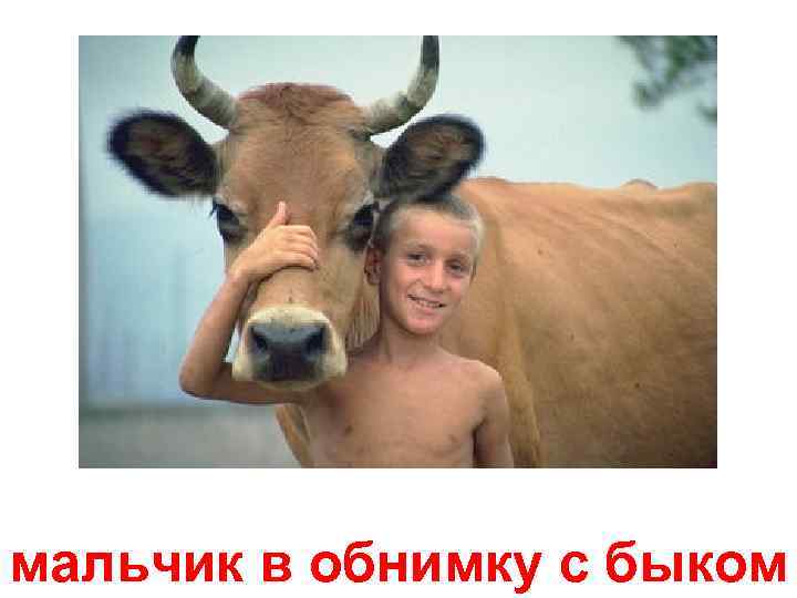 мальчик в обнимку с быком 