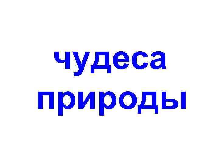 чудеса природы 