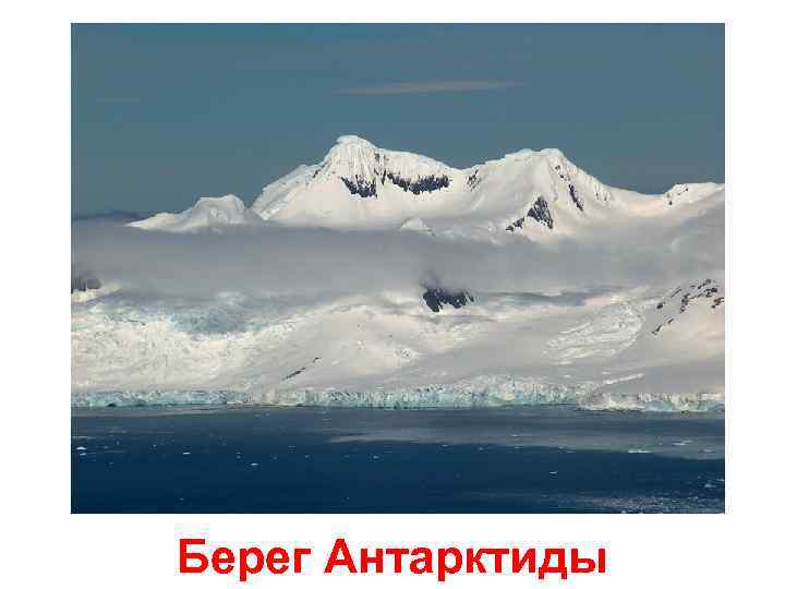 Берег Антарктиды 