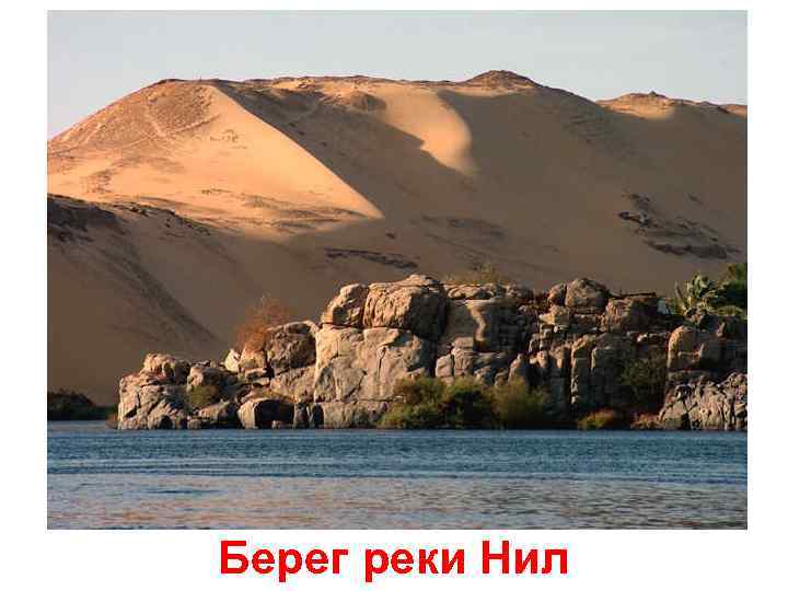 Берег реки Нил 