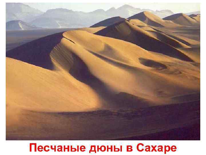 Песчаные дюны в Сахаре 