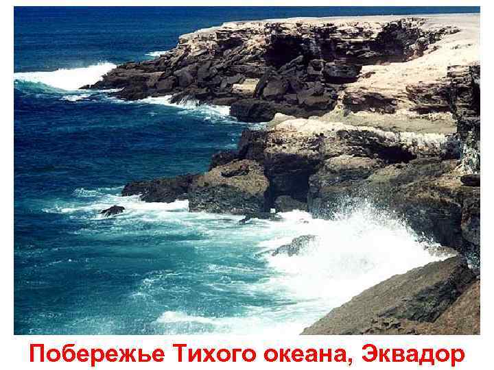 Побережье Тихого океана, Эквадор 