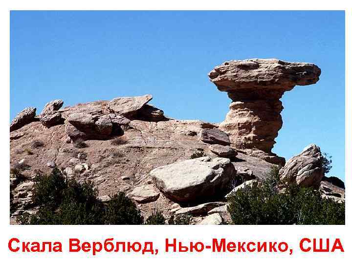 Скала Верблюд, Нью-Мексико, США 