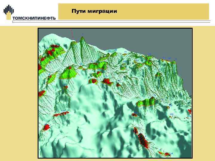 Пути миграции 