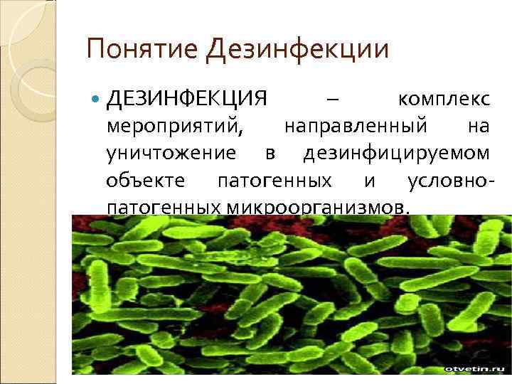 Понятие Дезинфекции ДЕЗИНФЕКЦИЯ – комплекс мероприятий, направленный на уничтожение в дезинфицируемом объекте патогенных и