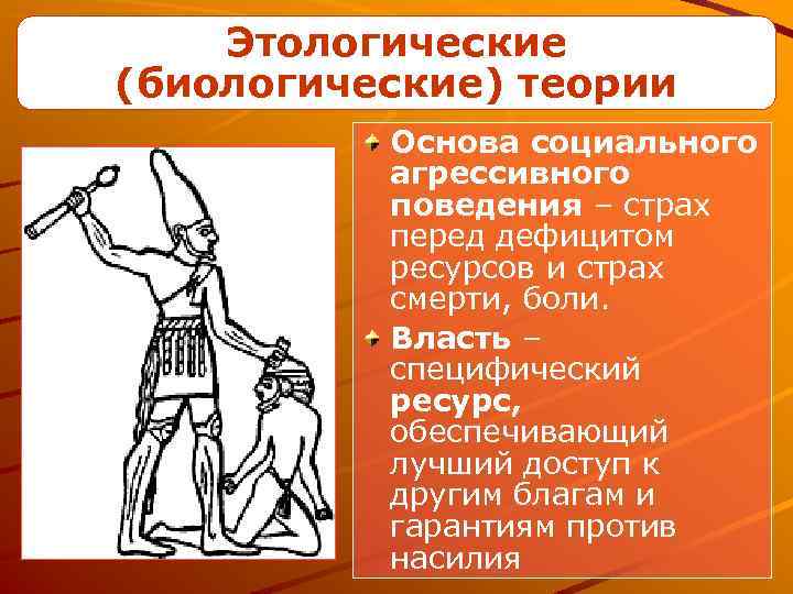 Этологические (биологические) теории Основа социального агрессивного поведения – страх перед дефицитом ресурсов и страх