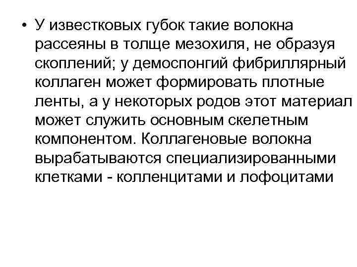  • У известковых губок такие волокна рассеяны в толще мезохиля, не образуя скоплений;
