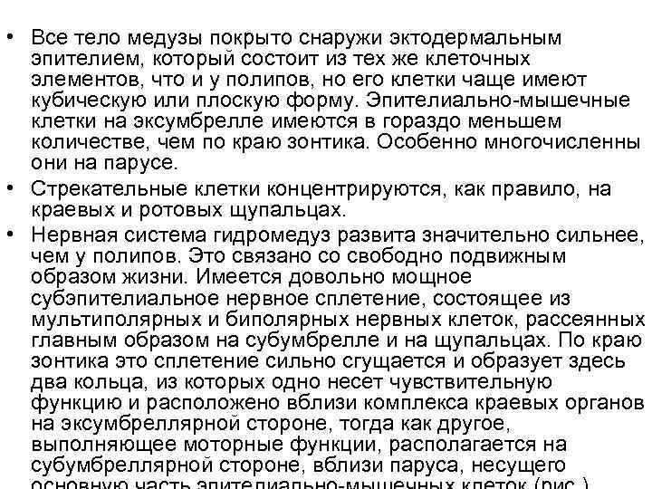  • Все тело медузы покрыто снаружи эктодермальным эпителием, который состоит из тех же