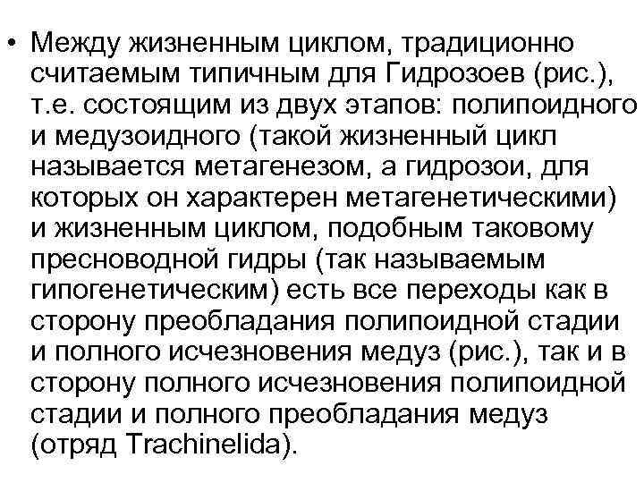  • Между жизненным циклом, традиционно считаемым типичным для Гидрозоев (рис. ), т. е.