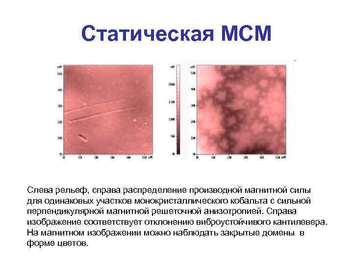 Статическая МСМ Слева рельеф, справа распределение производной магнитной силы для одинаковых участков монокристаллического кобальта