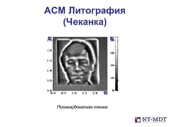 АСМ Литография (Чеканка) Поликарбонатная пленка 