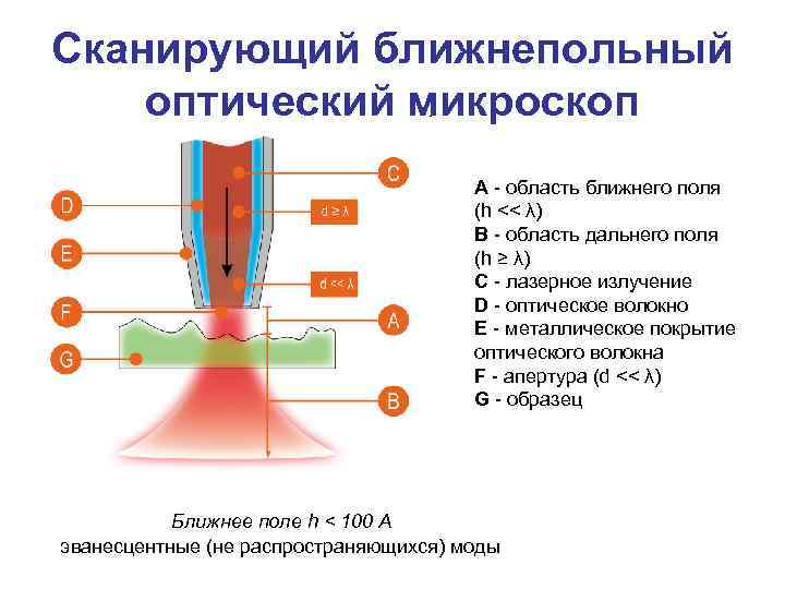 Сканирующий ближнепольный оптический микроскоп A - область ближнего поля (h << λ) B -