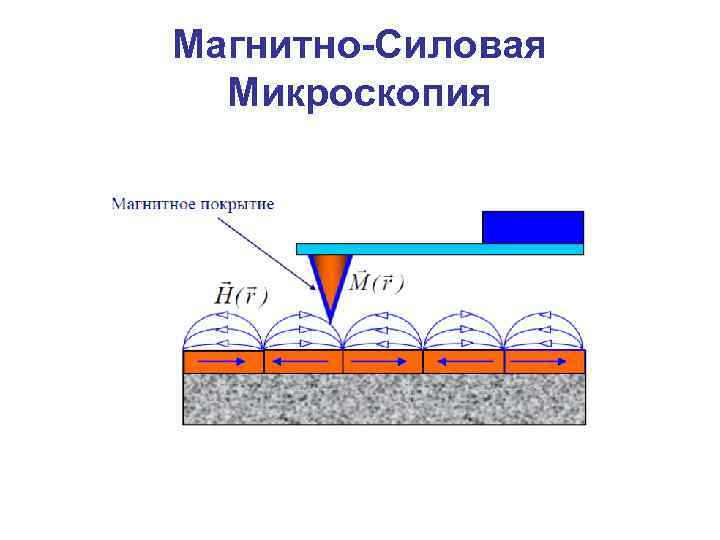 Магнитно-Силовая Микроскопия 