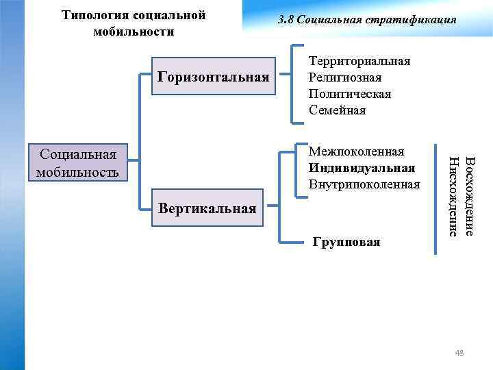 Уровни социальной мобильности. Типология социальной мобильности. Типология социальных проектов. Индивидуальная и групповая социальная мобильность.