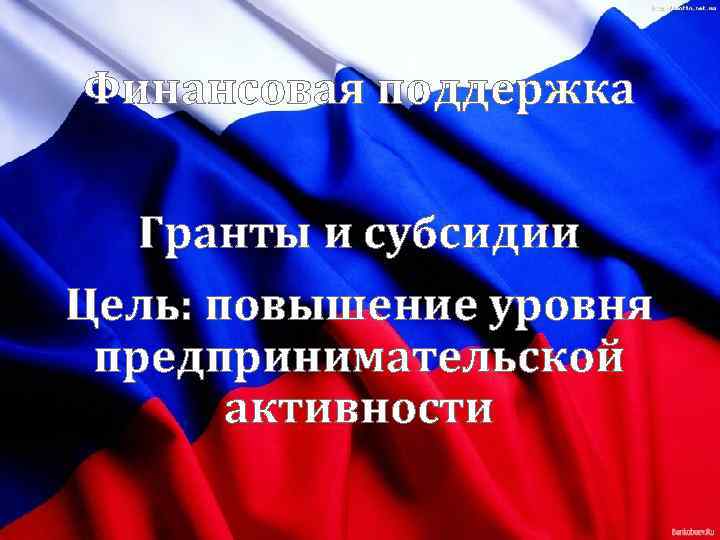 Финансовая поддержка Гранты и субсидии Цель: повышение уровня предпринимательской активности 