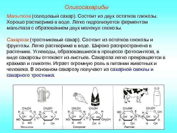Олигосахариды Мальтоза (солодовый сахар). Состоит из двух остатков глюкозы. Хорошо растворима в воде. Легко