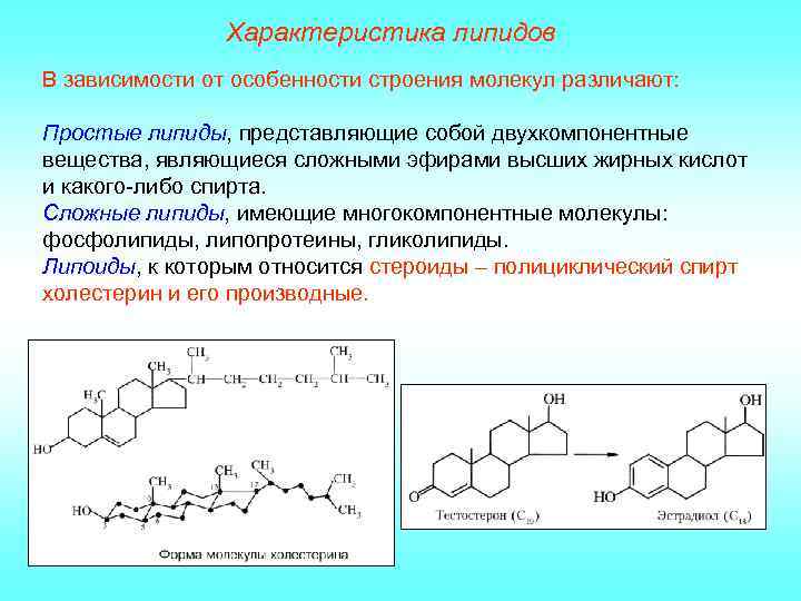 Характеристика липидов В зависимости от особенности строения молекул различают: Простые липиды, представляющие собой двухкомпонентные