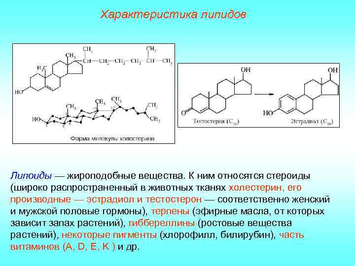 Характеристика липидов Липоиды — жироподобные вещества. К ним относятся стероиды (широко распространенный в животных