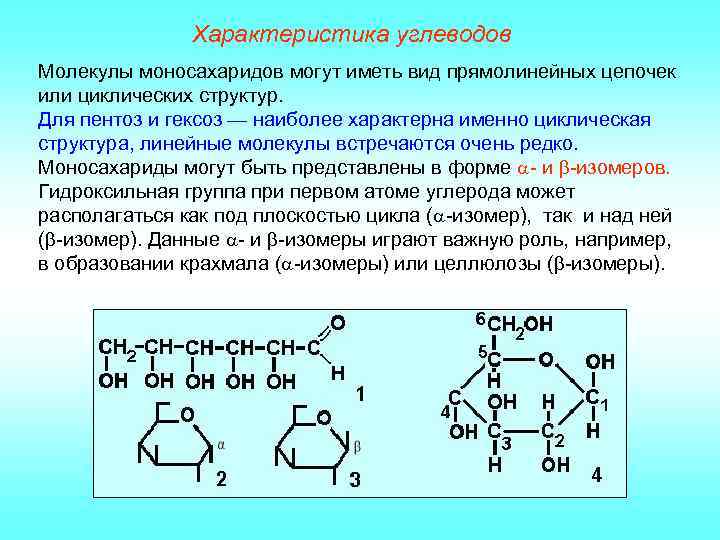 Характеристика углеводов Молекулы моносахаридов могут иметь вид прямолинейных цепочек или циклических структур. Для пентоз