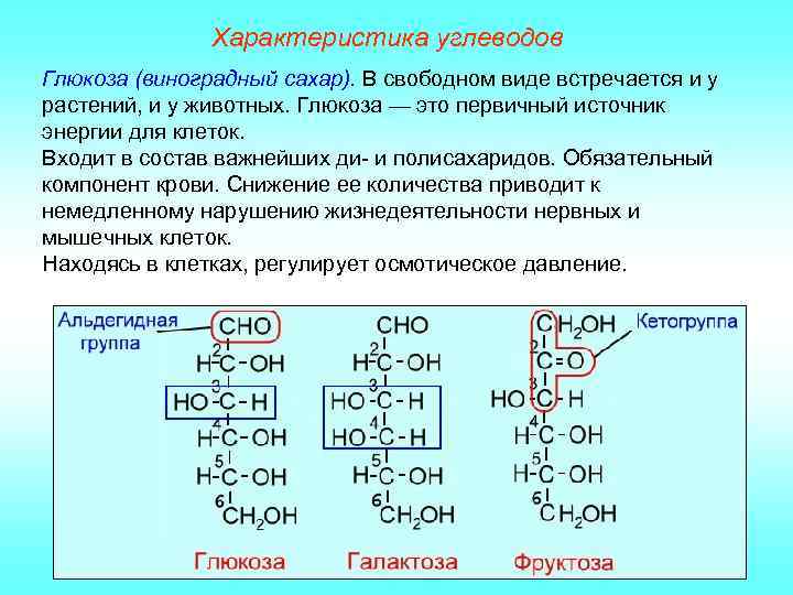 Характеристика углеводов Глюкоза (виноградный сахар). В свободном виде встречается и у растений, и у