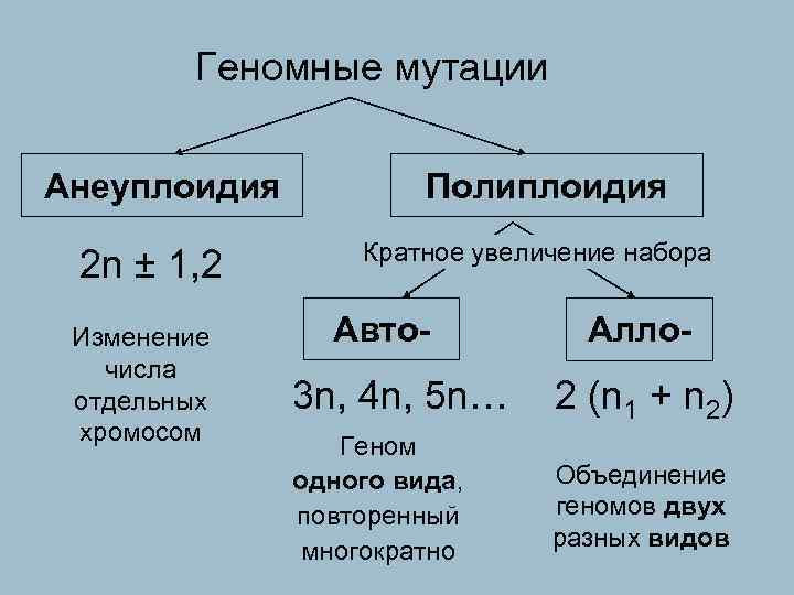 В лаборатории студенты изучают полиплоидию в их распоряжении имеется восемь образцов клеток