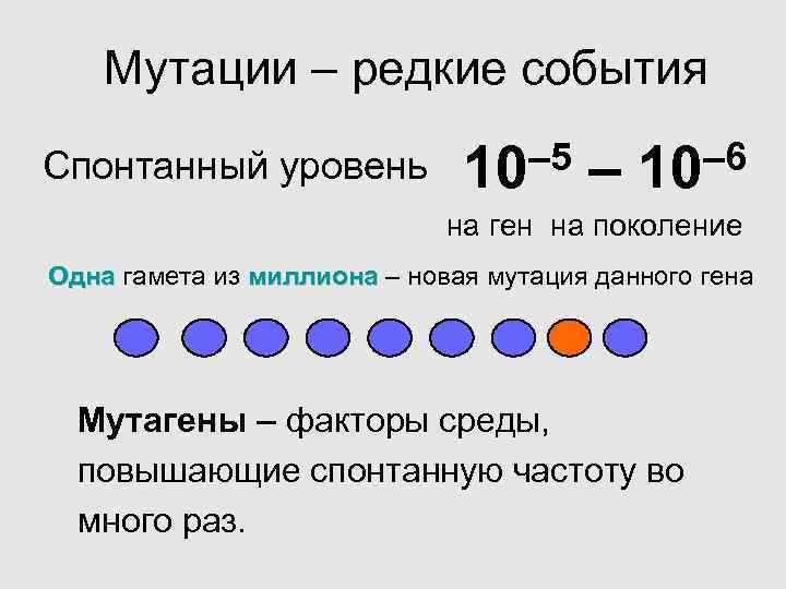  Мутации – редкие события Спонтанный уровень 10 – 5 – 10 – 6