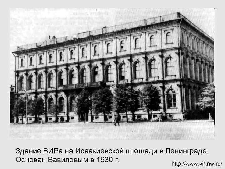 Здание ВИРа на Исаакиевской площади в Ленинграде. Основан Вавиловым в 1930 г. http: //www.