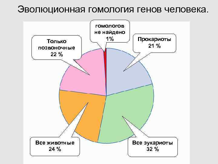 Эволюционная гомология генов человека. гомологов не найдено Только 1% Прокариоты позвоночные 21 % 22