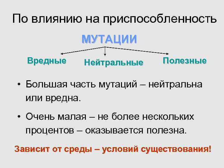 Вредные и полезные мутации проект по биологии