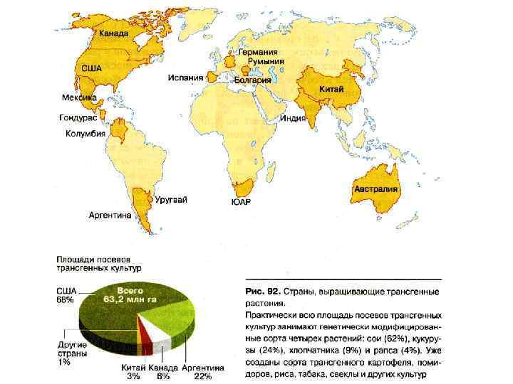      Подведем итоги: Основные методы традиционной селекции: Гибридизация (скрещивание) и