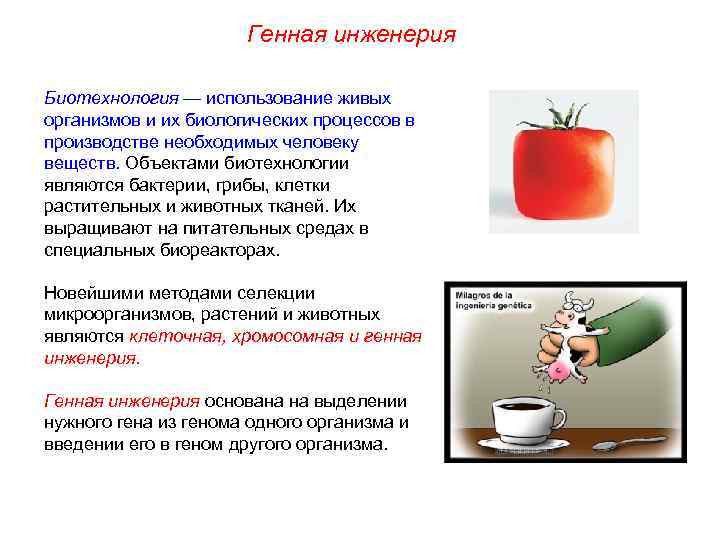      Генная инженерия Биотехнология — использование живых организмов и их