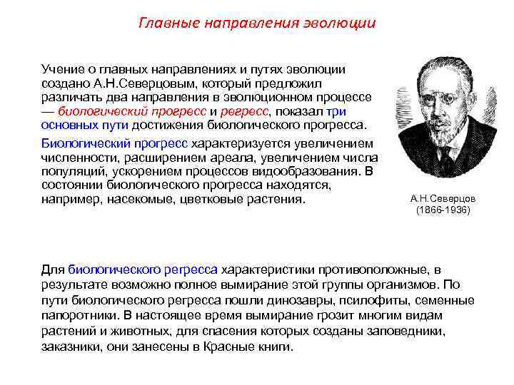 Главные направления эволюции Учение о главных направлениях и путях эволюции создано А. Н. Северцовым,