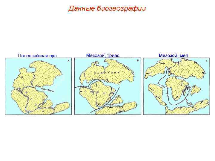 Данные биогеографии 