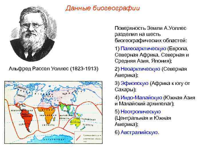 Данные биогеографии Поверхность Земли А. Уоллес разделил на шесть биогеографических областей: 1) Палеоарктическую (Европа,