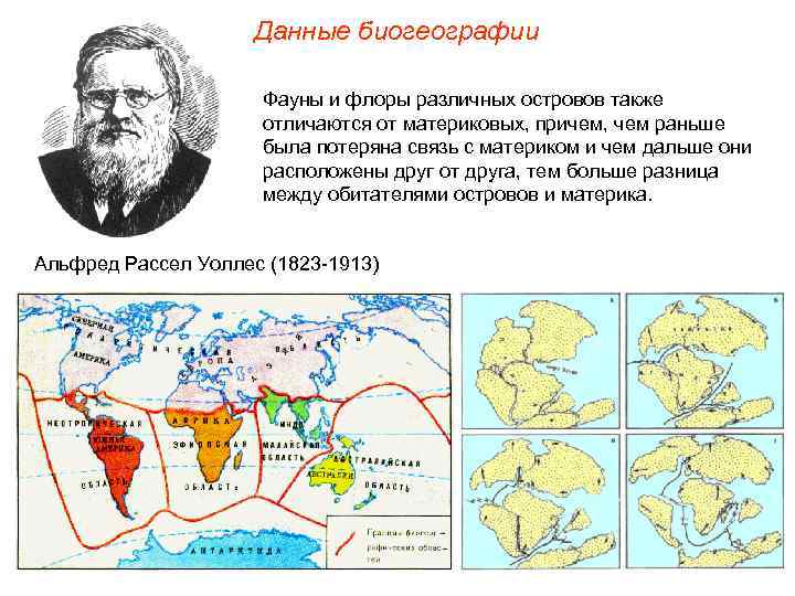 Данные биогеографии Фауны и флоры различных островов также отличаются от материковых, причем, чем раньше