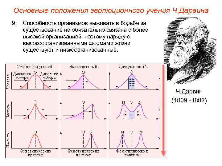 Основные положения эволюционного учения Ч. Дарвина 9. Способность организмов выживать в борьбе за существование