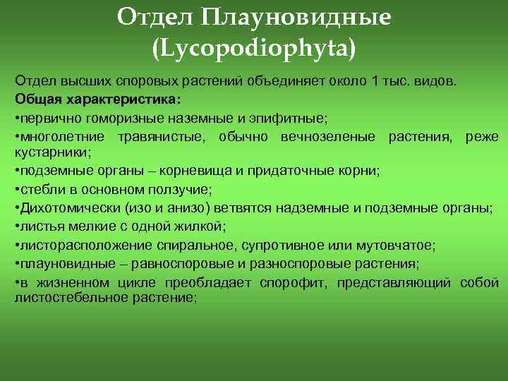 Общая характеристика споровых растений